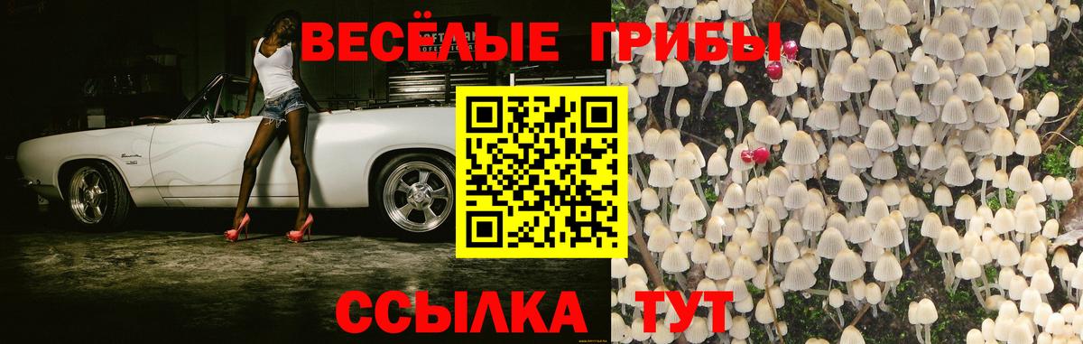 Галлюциногенные грибы Magic Shrooms  как найти   Татарск  Вход с VPN  Псилоцибиновые грибы GOLDEN TEACHER 